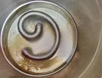 商用廚房設(shè)備專家和你聊聊水垢的危害及解決方法